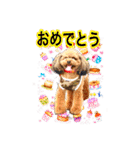 そら豆くん winter（個別スタンプ：13）