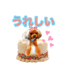 そら豆くん winter（個別スタンプ：14）
