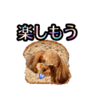 そら豆くん winter（個別スタンプ：16）