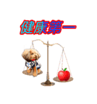 そら豆くん winter（個別スタンプ：19）