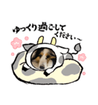 シェルティ HappyNEWyear2021（個別スタンプ：4）