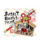 シェルティ HappyNEWyear2021（個別スタンプ：5）