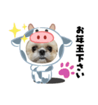 モコモコたんお正月（個別スタンプ：2）