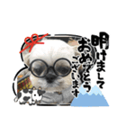モコモコたんお正月（個別スタンプ：11）