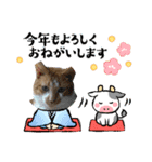 猫たちのお正月（個別スタンプ：1）