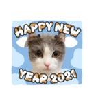 猫たちのお正月（個別スタンプ：4）