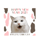 猫たちのお正月（個別スタンプ：5）