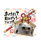 猫たちのお正月（個別スタンプ：7）