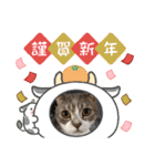 猫たちのお正月（個別スタンプ：8）