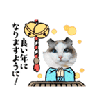 猫たちのお正月（個別スタンプ：10）