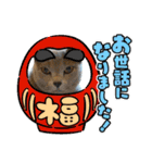 猫たちのお正月（個別スタンプ：11）