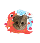 猫たちのお正月（個別スタンプ：12）