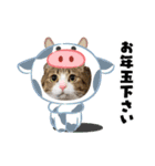 猫たちのお正月（個別スタンプ：13）