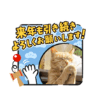 猫たちのお正月（個別スタンプ：15）