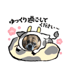 ブルドッグ蘭ちゃんと仲間（個別スタンプ：1）