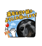 ブルドッグ蘭ちゃんと仲間（個別スタンプ：5）