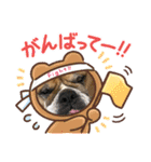 ブルドッグ蘭ちゃんと仲間（個別スタンプ：23）