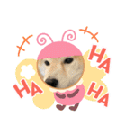 ブルドッグ蘭ちゃんと仲間（個別スタンプ：31）