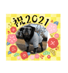 ブルドッグ蘭ちゃんと仲間（個別スタンプ：38）