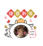 2021年ちゅりんぼ18歳になる（個別スタンプ：6）