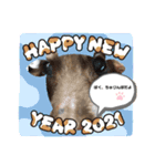 2021年ちゅりんぼ18歳になる（個別スタンプ：8）