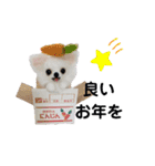 年末年始も羊毛ワンコとニャンコ（個別スタンプ：8）