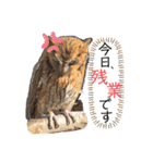 フクロウ のふくすけ（個別スタンプ：6）