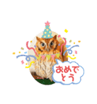 フクロウ のふくすけ（個別スタンプ：14）