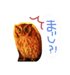 フクロウ のふくすけ（個別スタンプ：19）