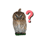フクロウ のふくすけ（個別スタンプ：21）