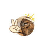 フクロウ のふくすけ（個別スタンプ：22）