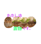 フクロウ のふくすけ（個別スタンプ：23）