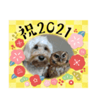 フクロウ のふくすけ（個別スタンプ：32）