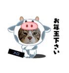 メロ＆ネロお正月（個別スタンプ：1）
