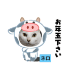 メロ＆ネロお正月（個別スタンプ：2）