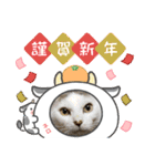 メロ＆ネロお正月（個別スタンプ：3）