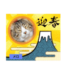 メロ＆ネロお正月（個別スタンプ：4）