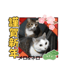 メロ＆ネロお正月（個別スタンプ：5）