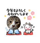 メロ＆ネロお正月（個別スタンプ：9）