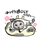 メロ＆ネロお正月（個別スタンプ：11）