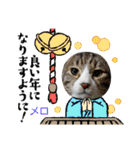 メロ＆ネロお正月（個別スタンプ：12）