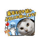 メロ＆ネロお正月（個別スタンプ：16）