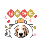 ナッツ お正月スタンプ丑年（個別スタンプ：1）