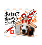ナッツ お正月スタンプ丑年（個別スタンプ：2）