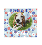 ナッツ お正月スタンプ丑年（個別スタンプ：8）
