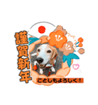 ナッツ お正月スタンプ丑年（個別スタンプ：9）