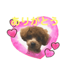 ライちゃんの可愛いスタンプ2（個別スタンプ：2）