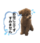 ライちゃんの可愛いスタンプ2（個別スタンプ：3）