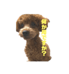 ライちゃんの可愛いスタンプ2（個別スタンプ：4）