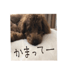 ライちゃんの可愛いスタンプ2（個別スタンプ：11）